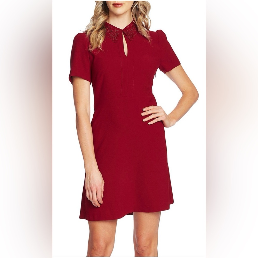 Cece burgundy Dress